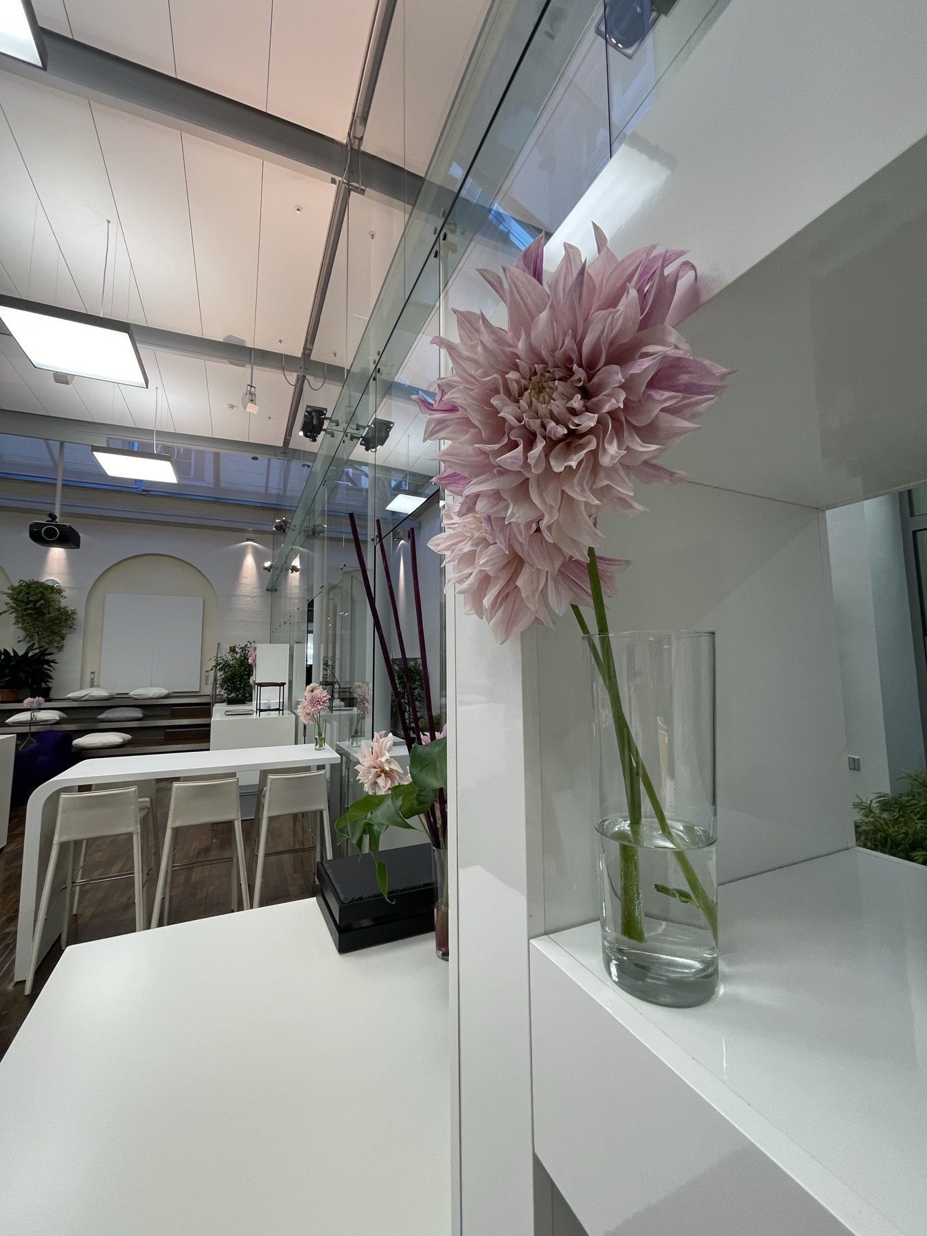 Florales Eventdesign im Rathaus Heidelberg